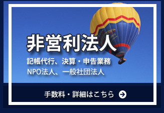 非営利法人 NPO 一般社団法人